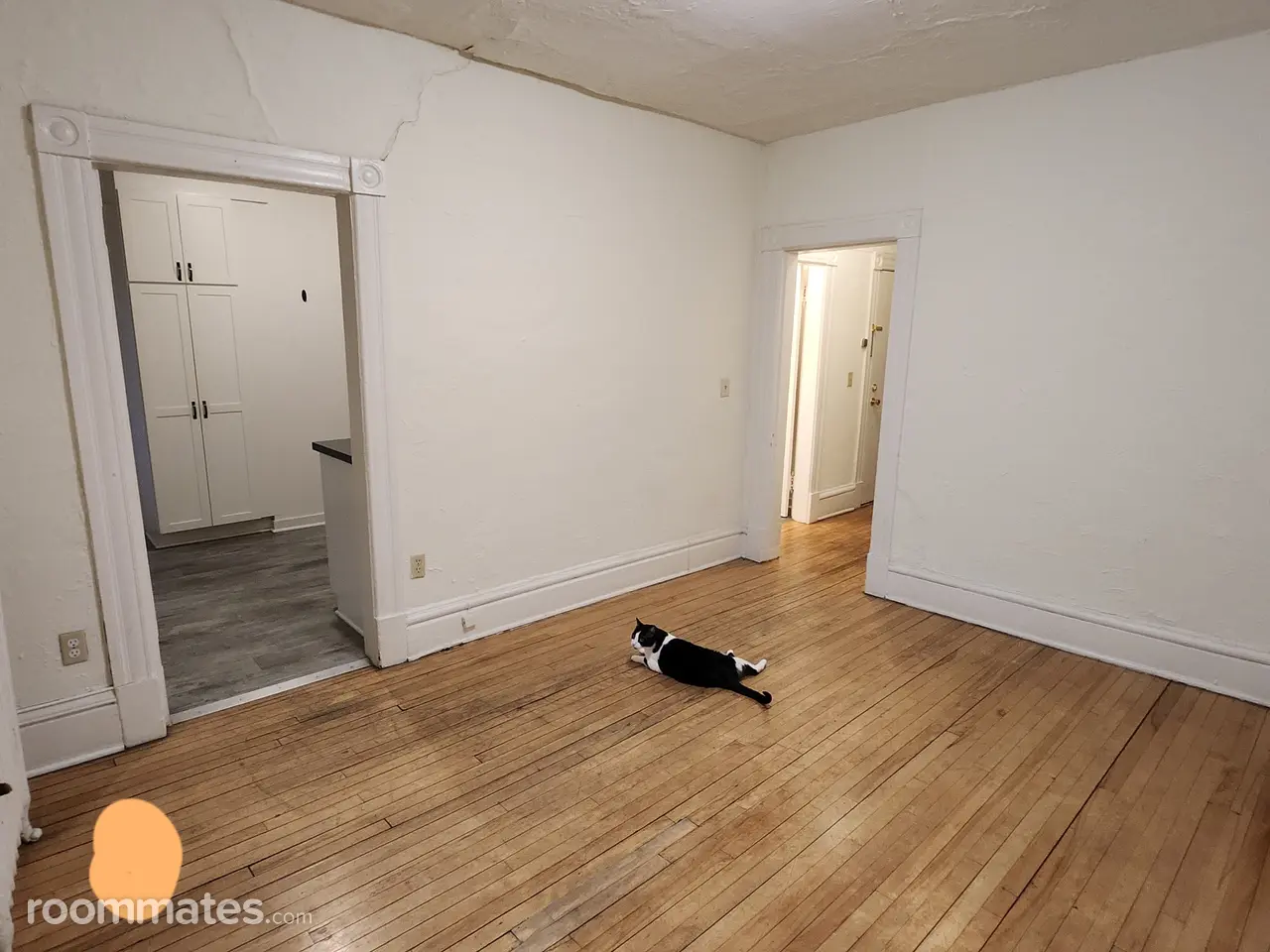 Profile photo 6 of 11