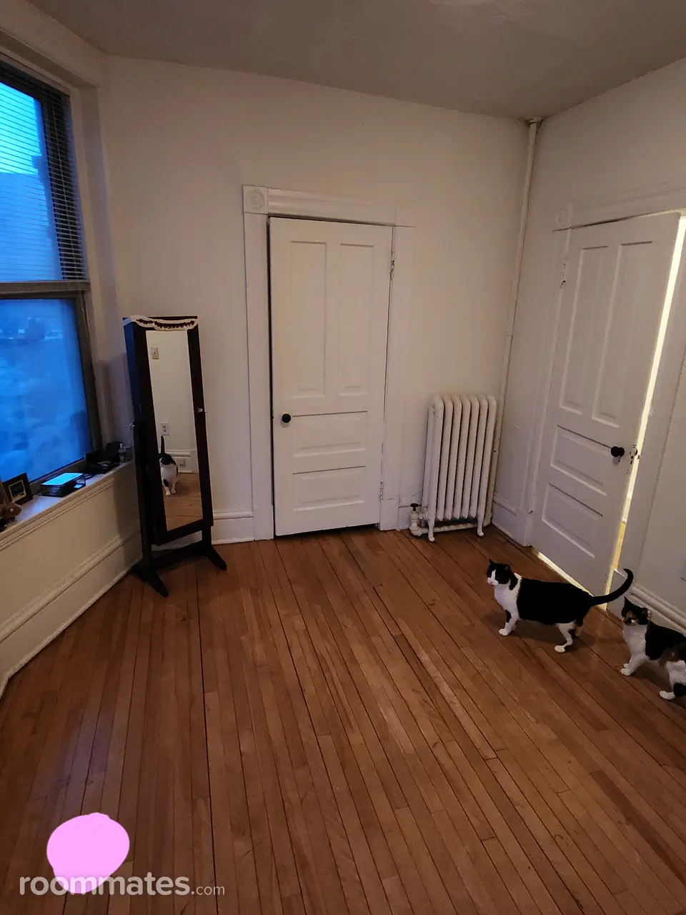 Profile photo 4 of 11