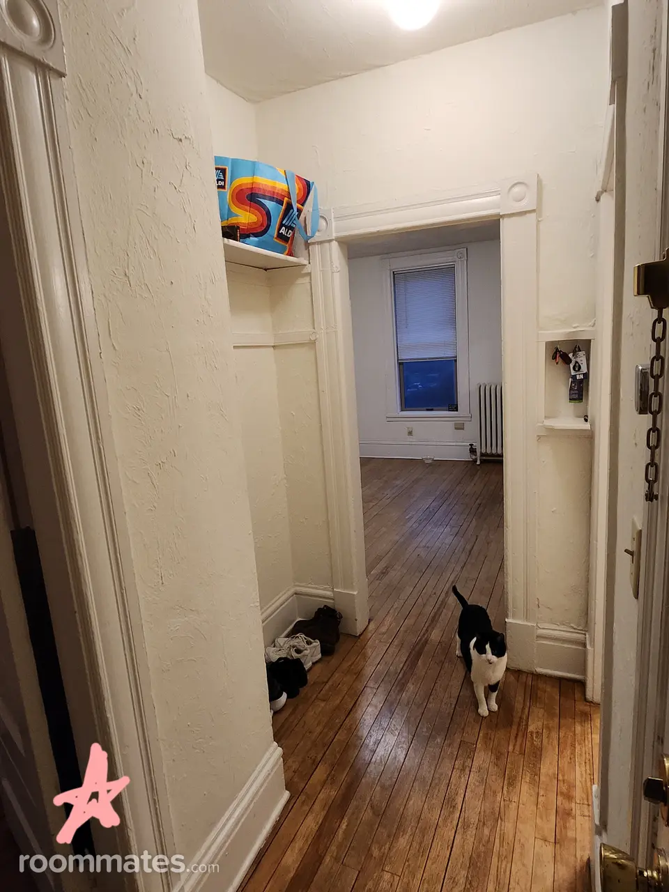 Profile photo 8 of 11