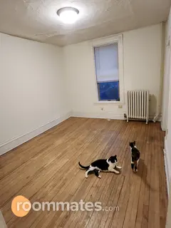 Room for rent in Minneapolis, MN $750, apartment