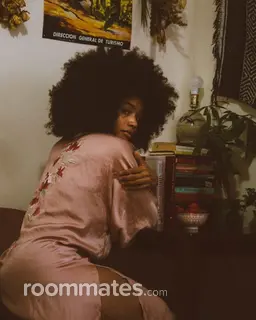 Roommate looking Memphis, TN, $700