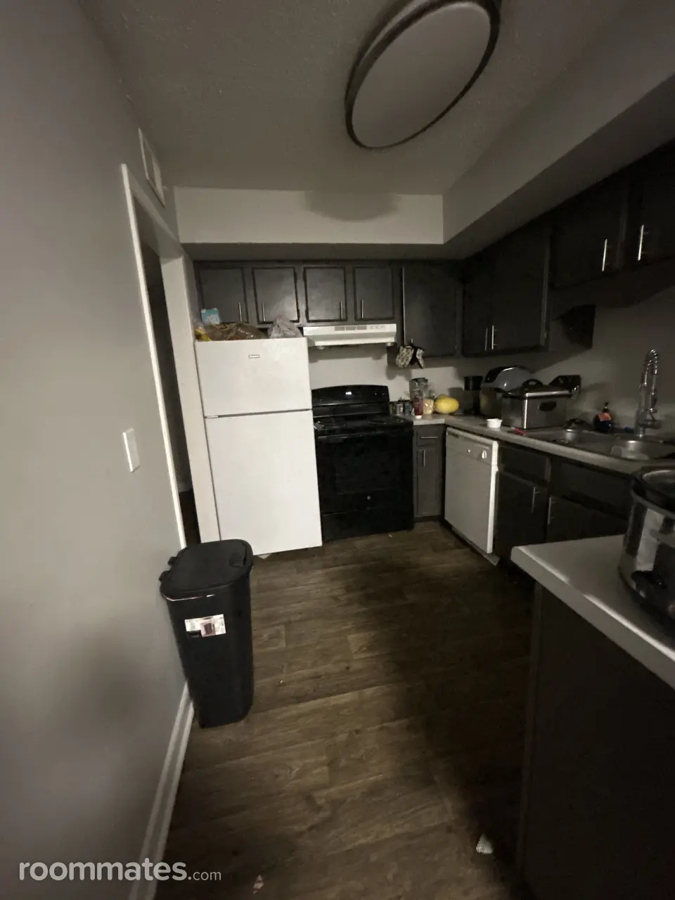 Profile photo 5 of 13