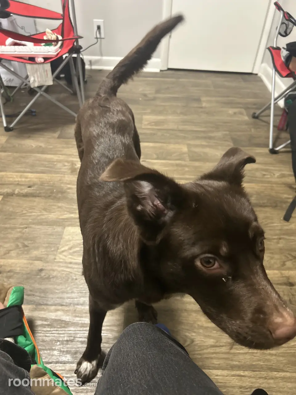 Profile photo 11 of 13