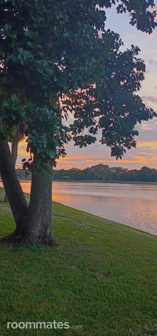 Profile photo 4 of 11