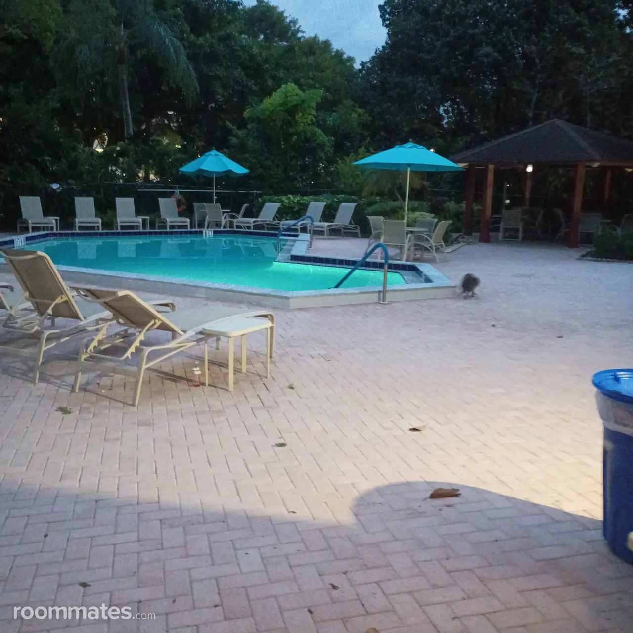 Profile photo 6 of 11