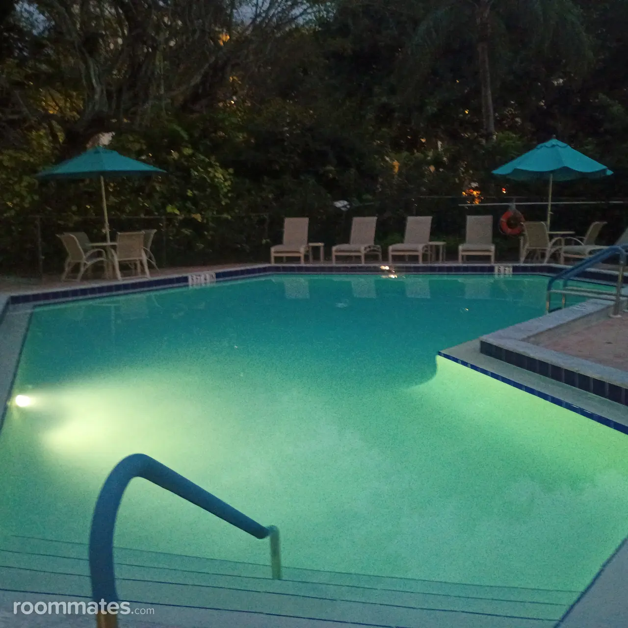 Profile photo 5 of 11