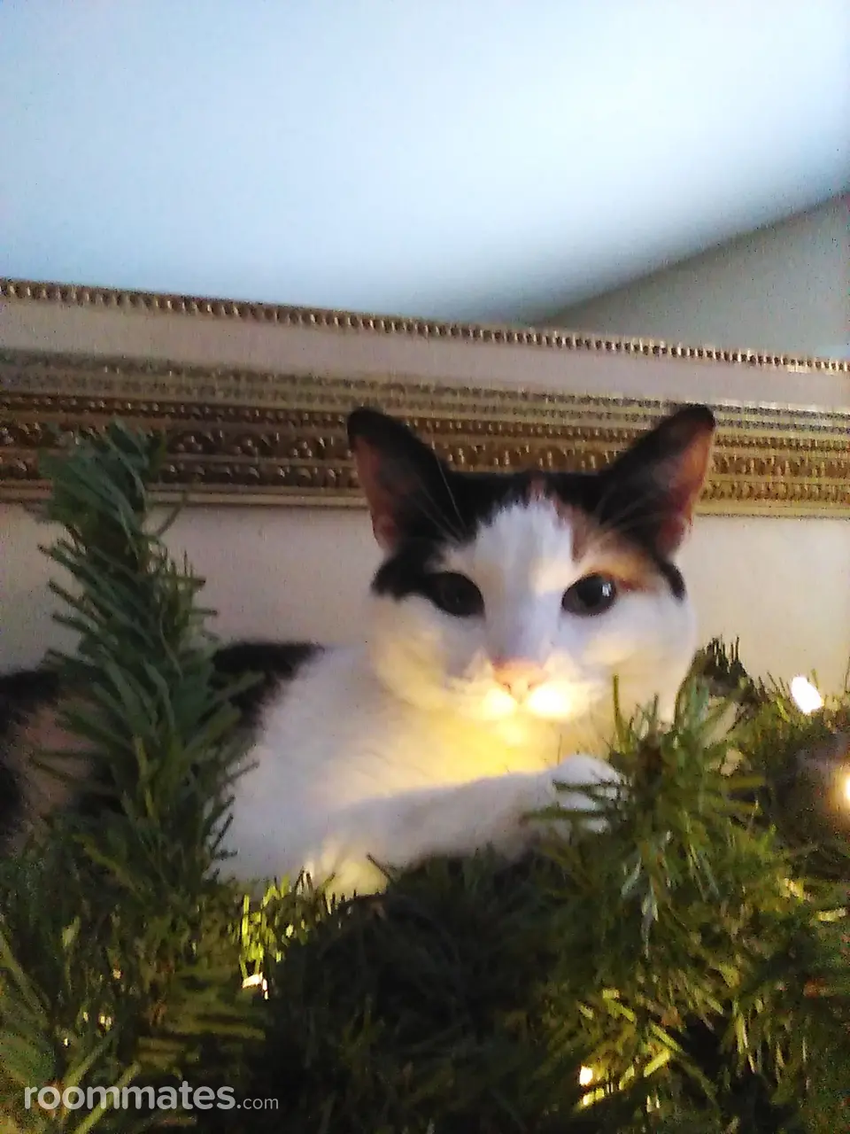 Profile photo 1 of 1