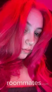 Roommate looking Enfield, CT, $700