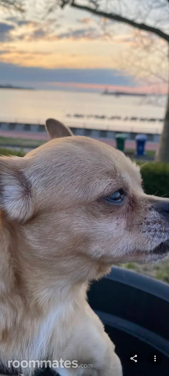 Profile photo 4 of 5