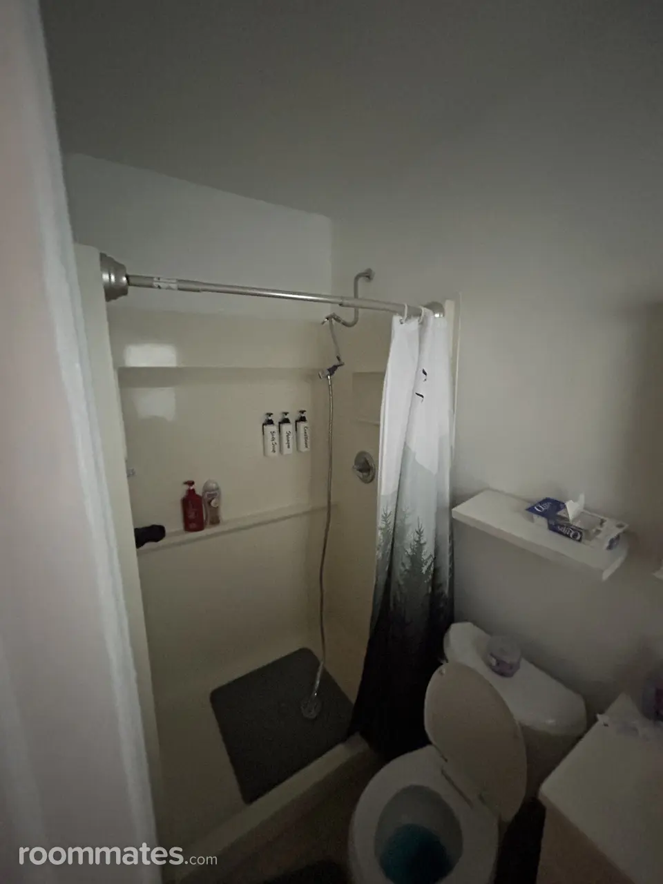 Profile photo 1 of 9