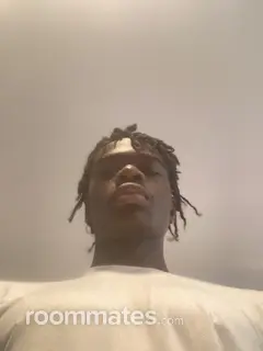 Roommate looking Taunton, MA, $1000