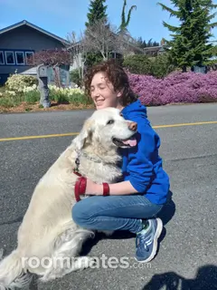 Roommate looking Edmonds, WA, $1000