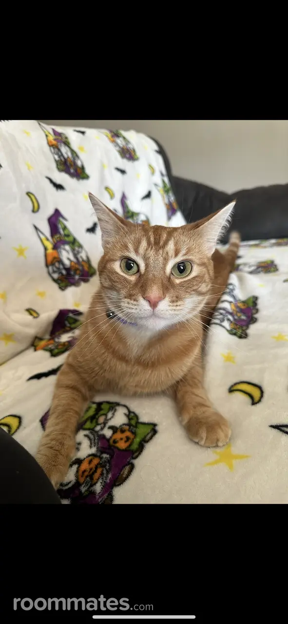 Profile photo 5 of 7