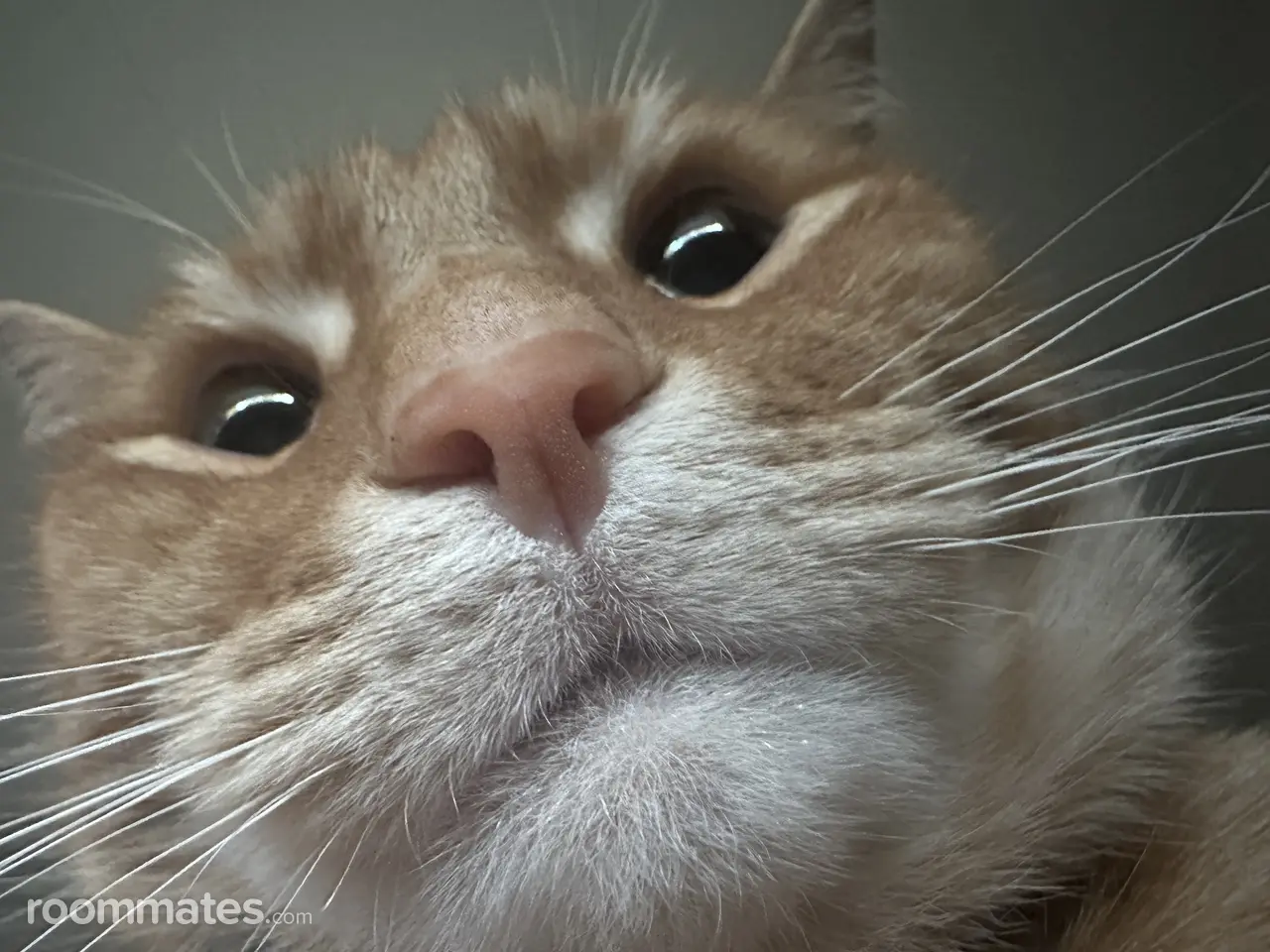 Profile photo 3 of 7