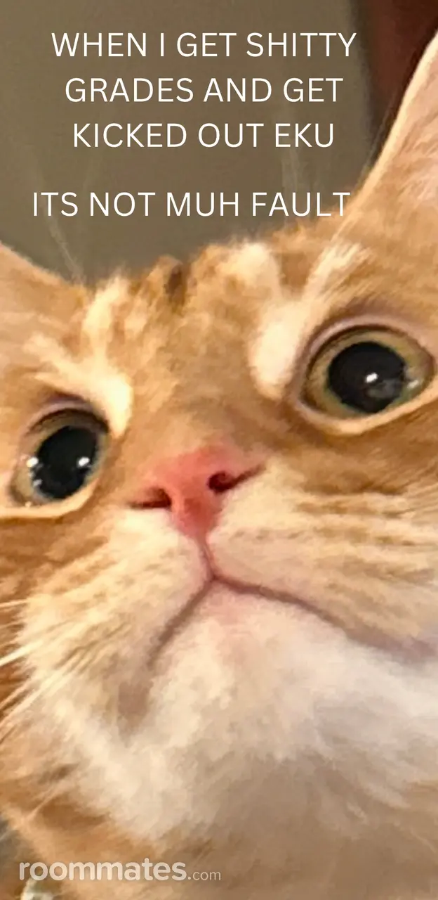 Profile photo 7 of 7