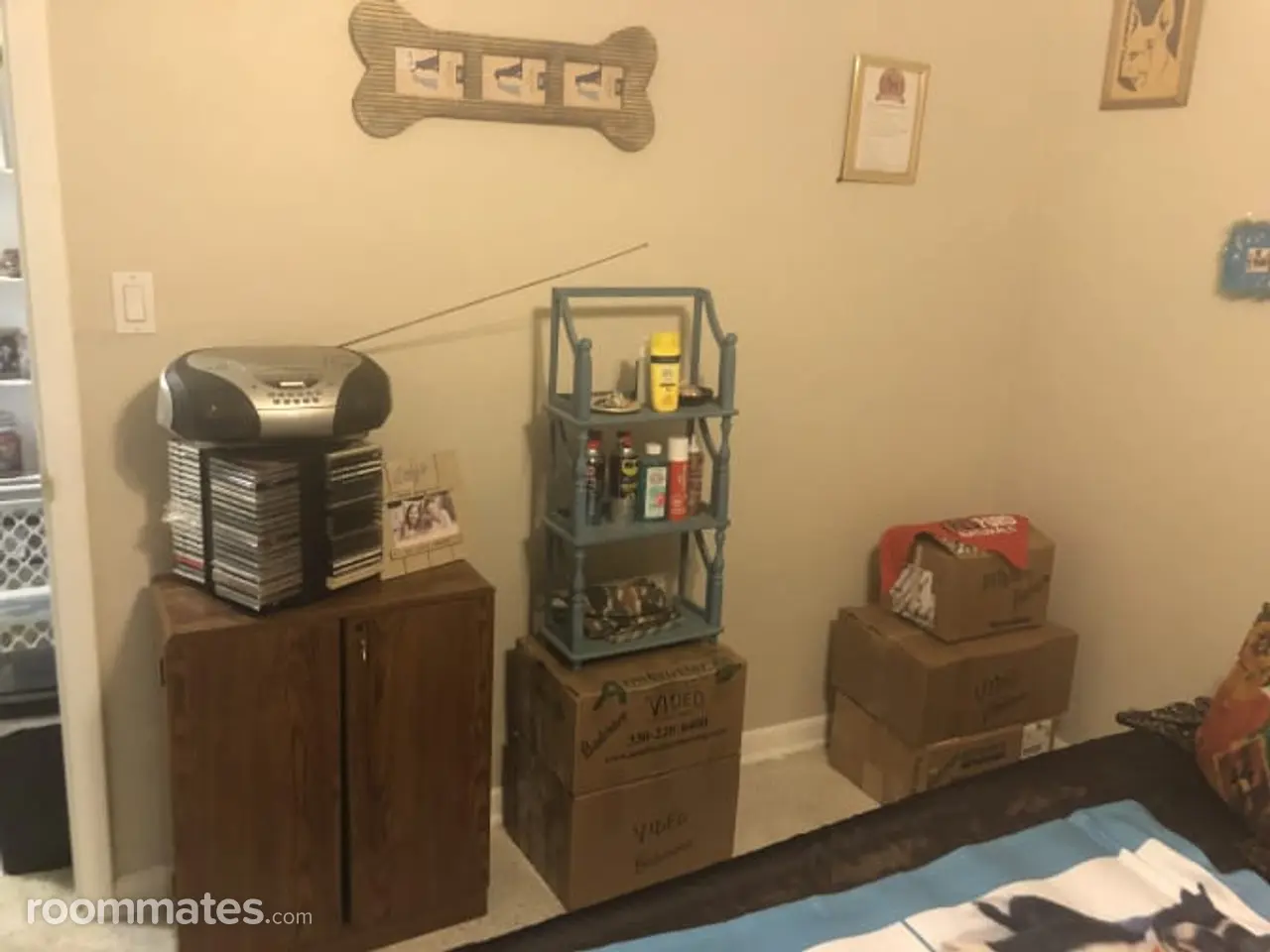 Profile photo 5 of 11