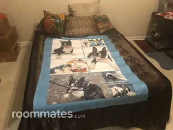 Room for rent in Port Charlotte, FL $850, house