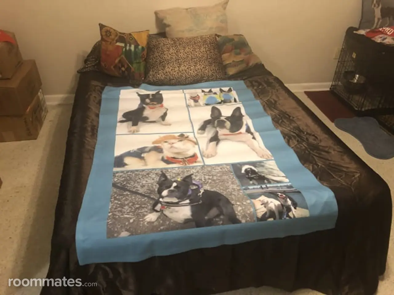 Profile photo 1 of 11