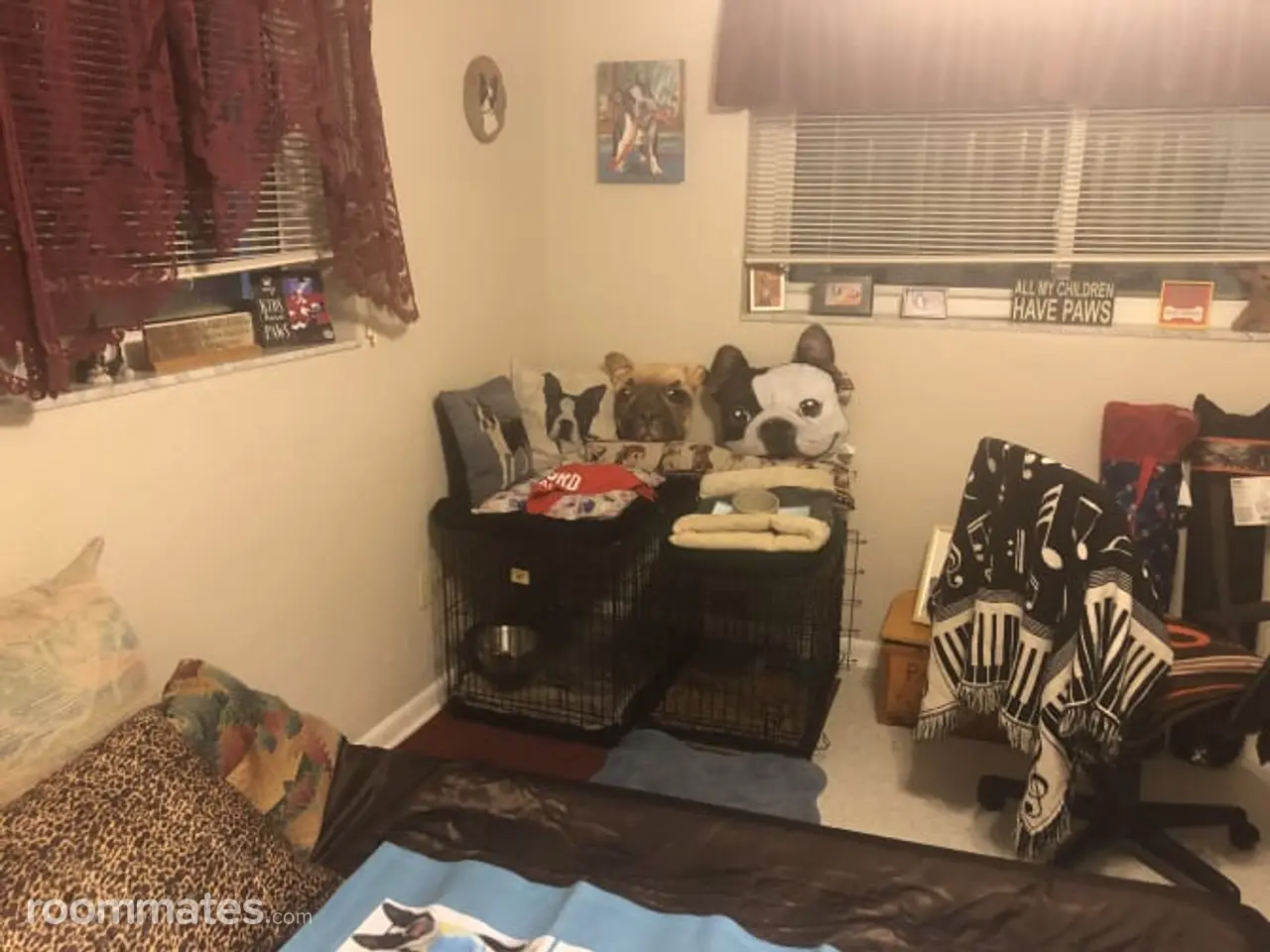 Profile photo 9 of 11