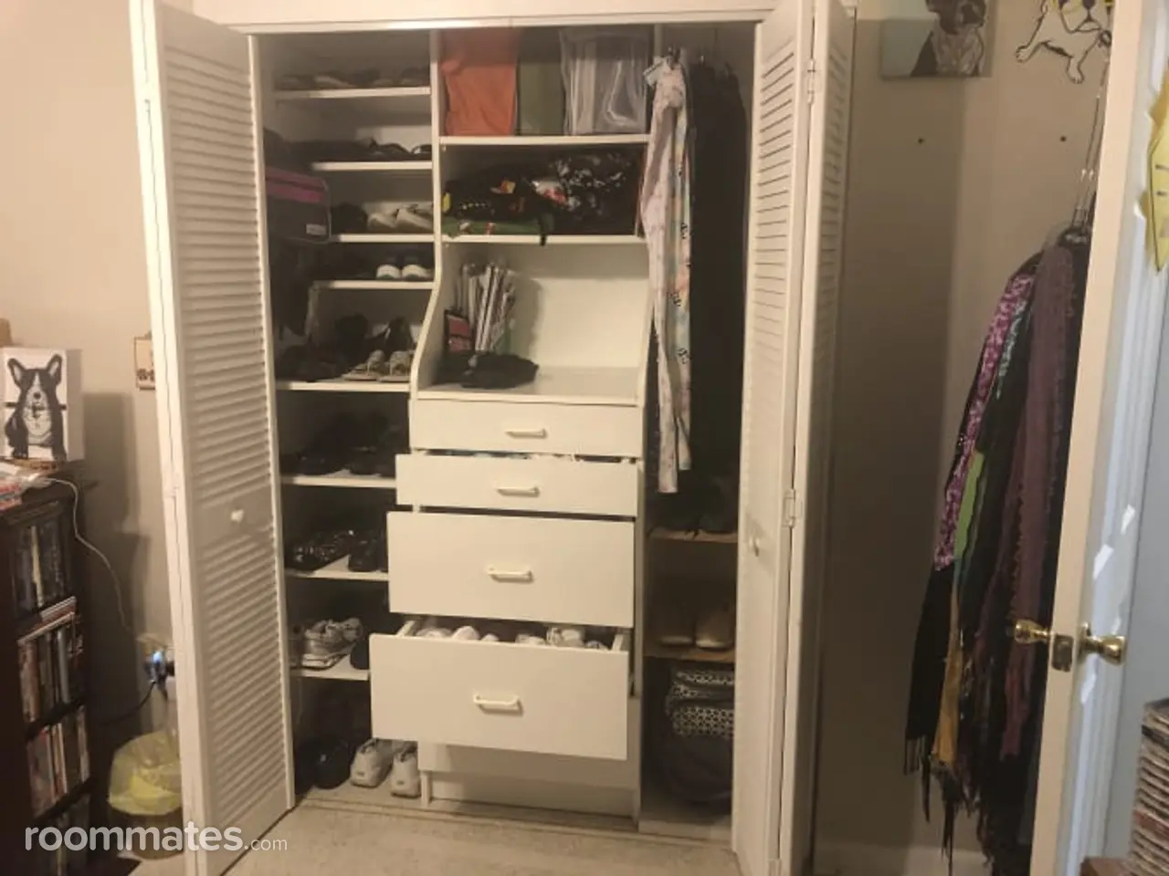 Profile photo 7 of 11