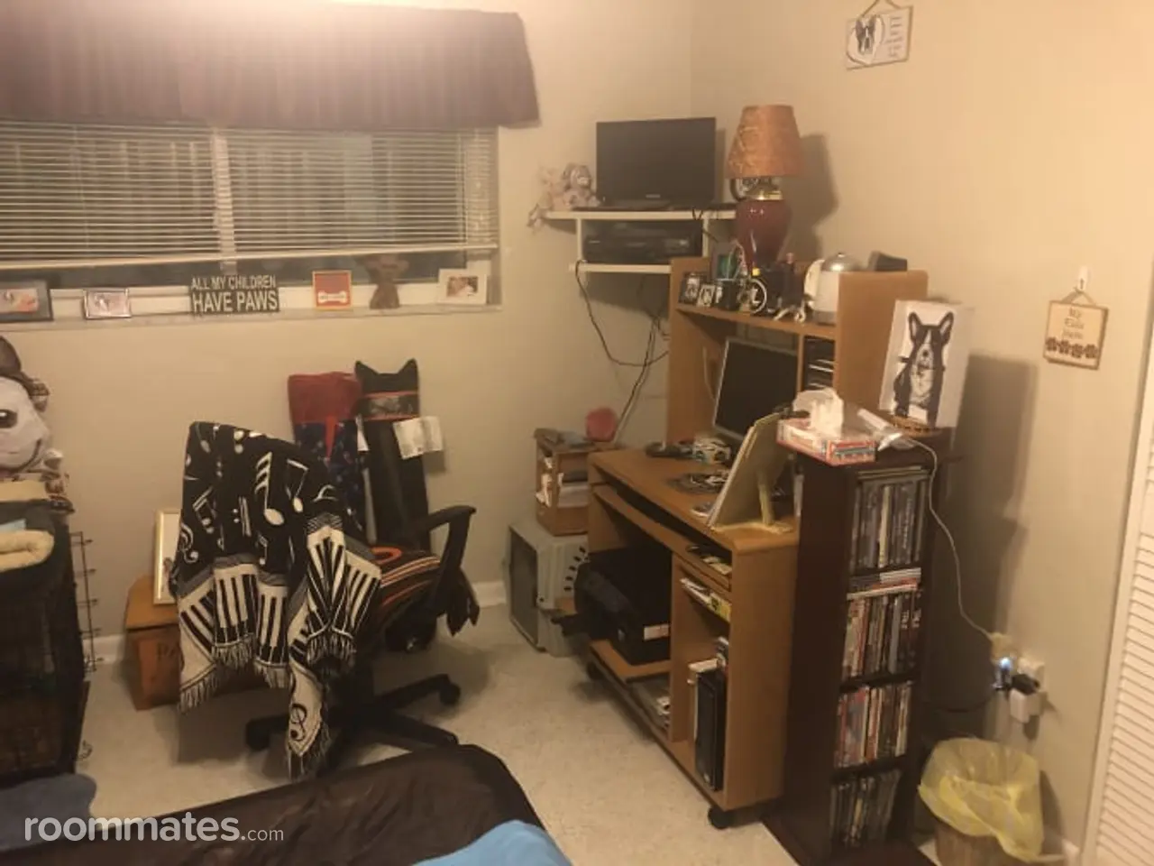 Profile photo 8 of 11