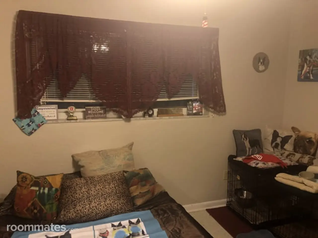 Profile photo 6 of 11