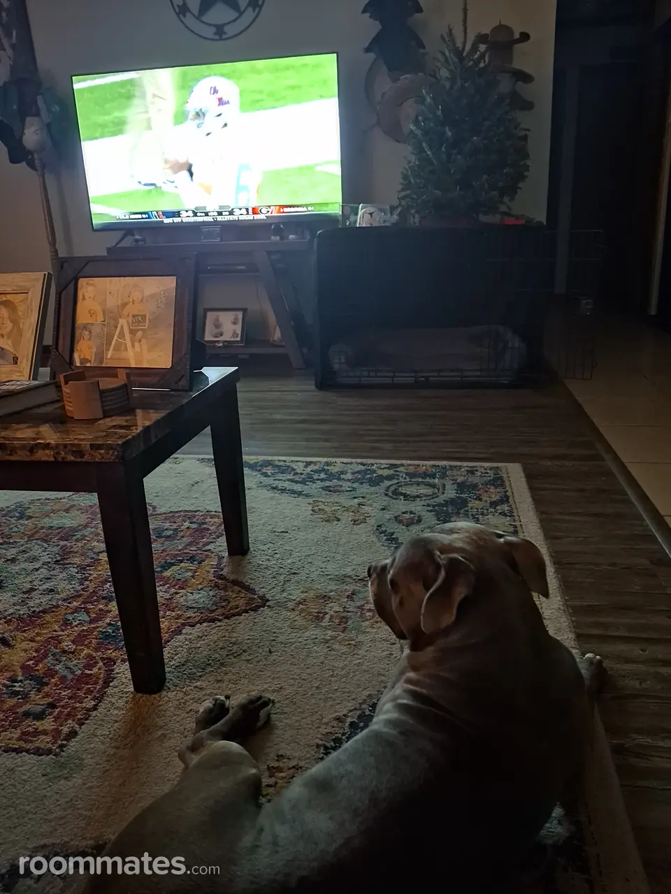 Profile photo 1 of 2