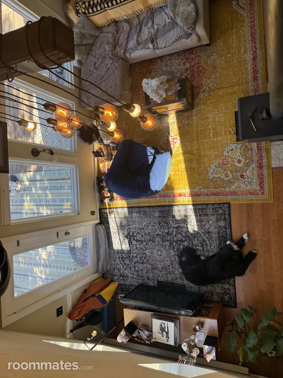 Profile photo 3 of 15