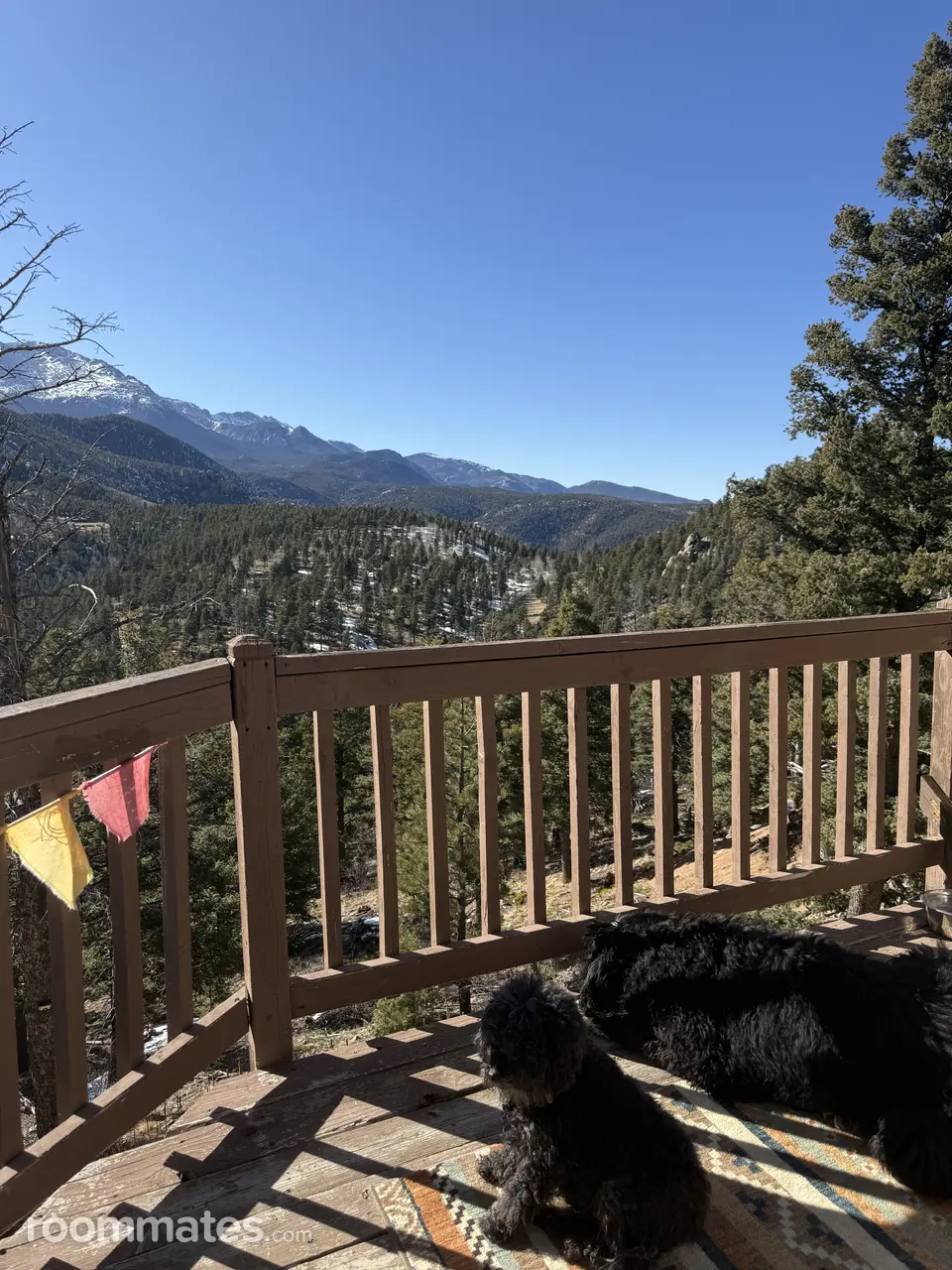 Profile photo 12 of 15