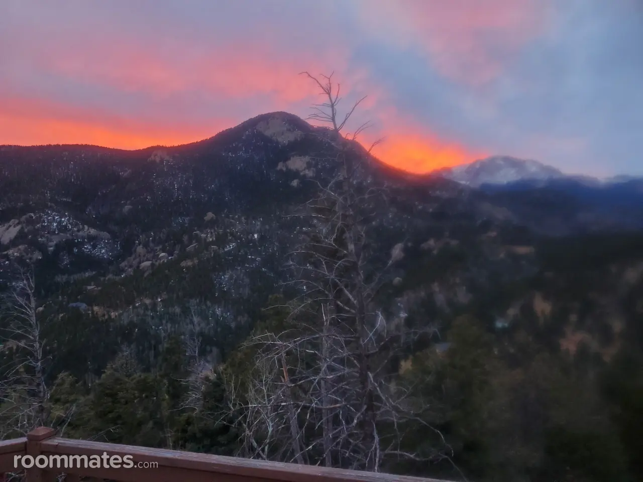 Profile photo 11 of 15