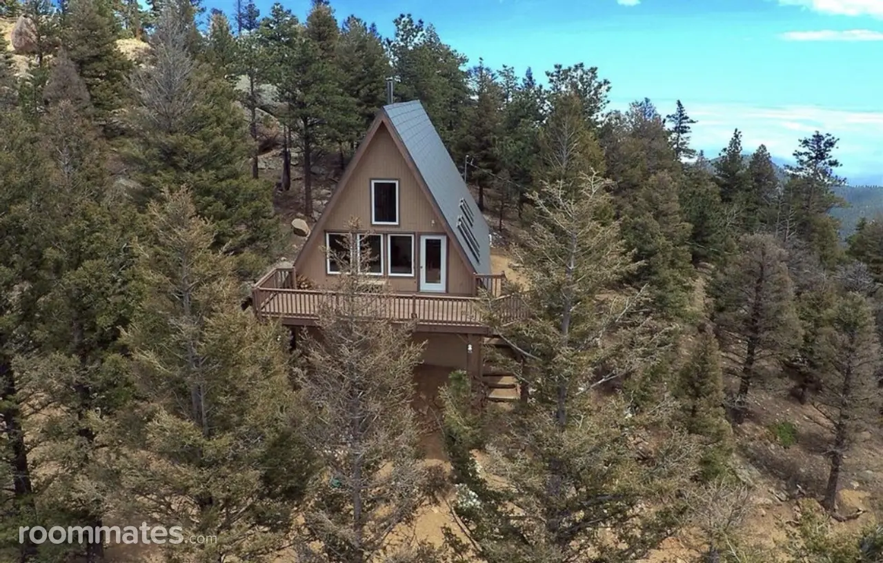 Profile photo 15 of 15