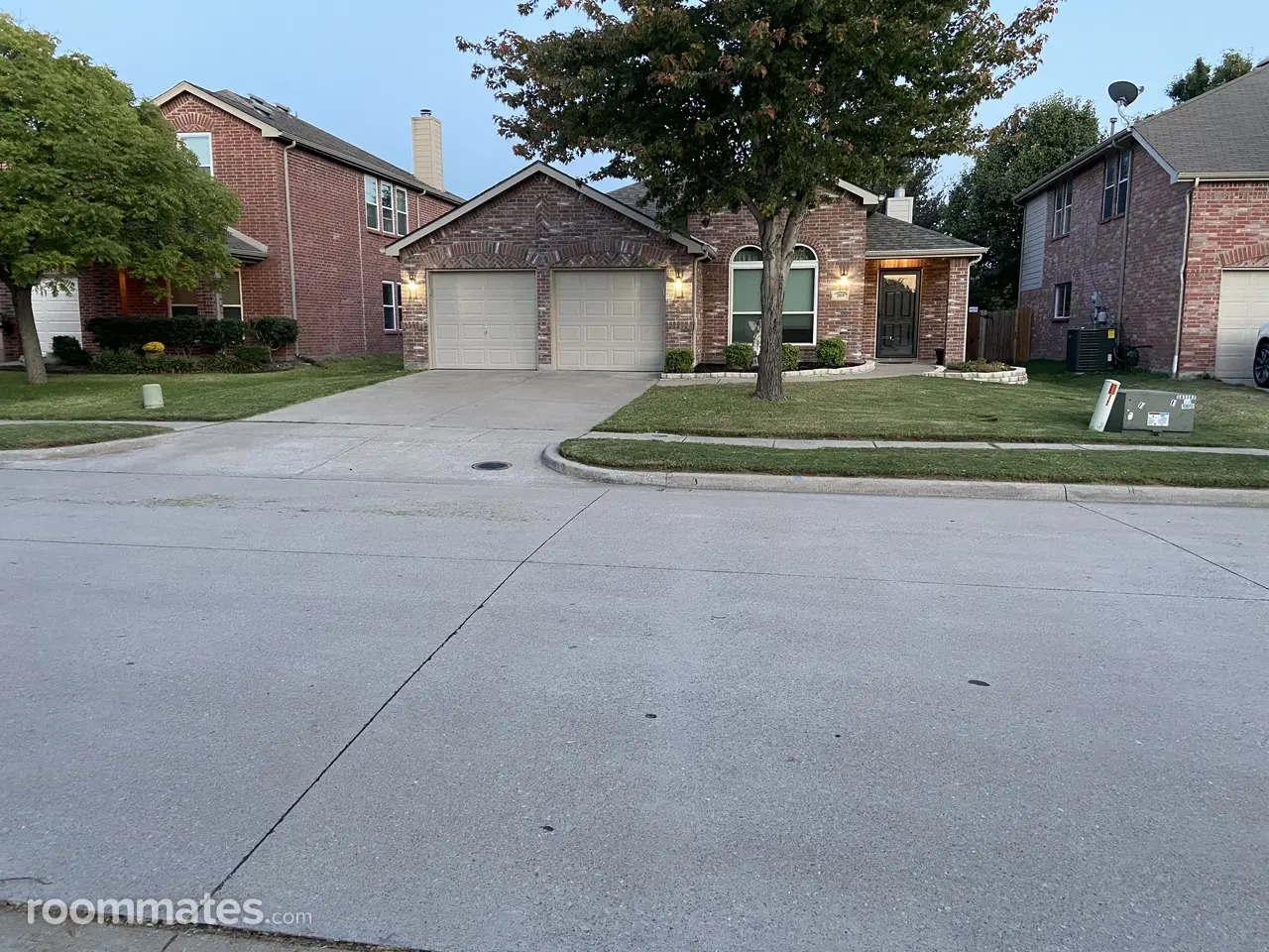 Profile photo 6 of 14