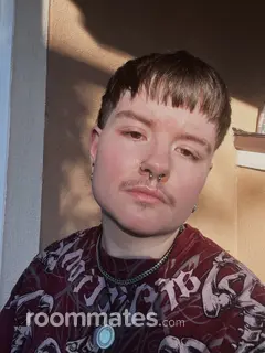 Roommate looking Orange Park, FL, $800