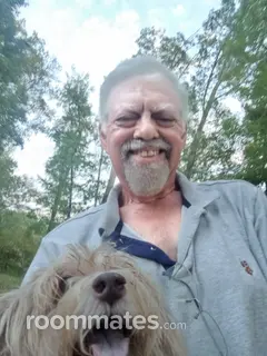 Roommate looking Raleigh, NC, $700