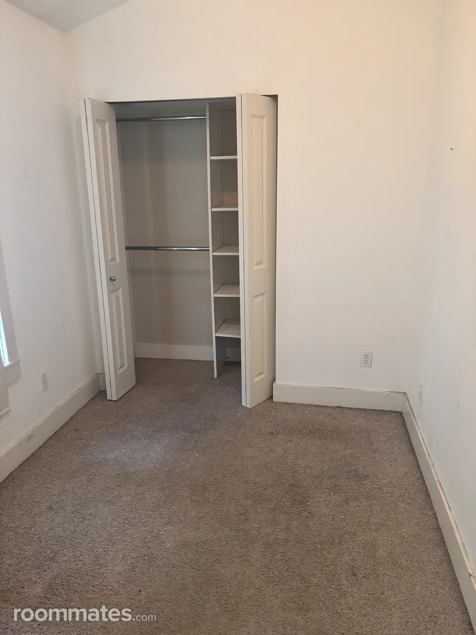 Profile photo 2 of 11