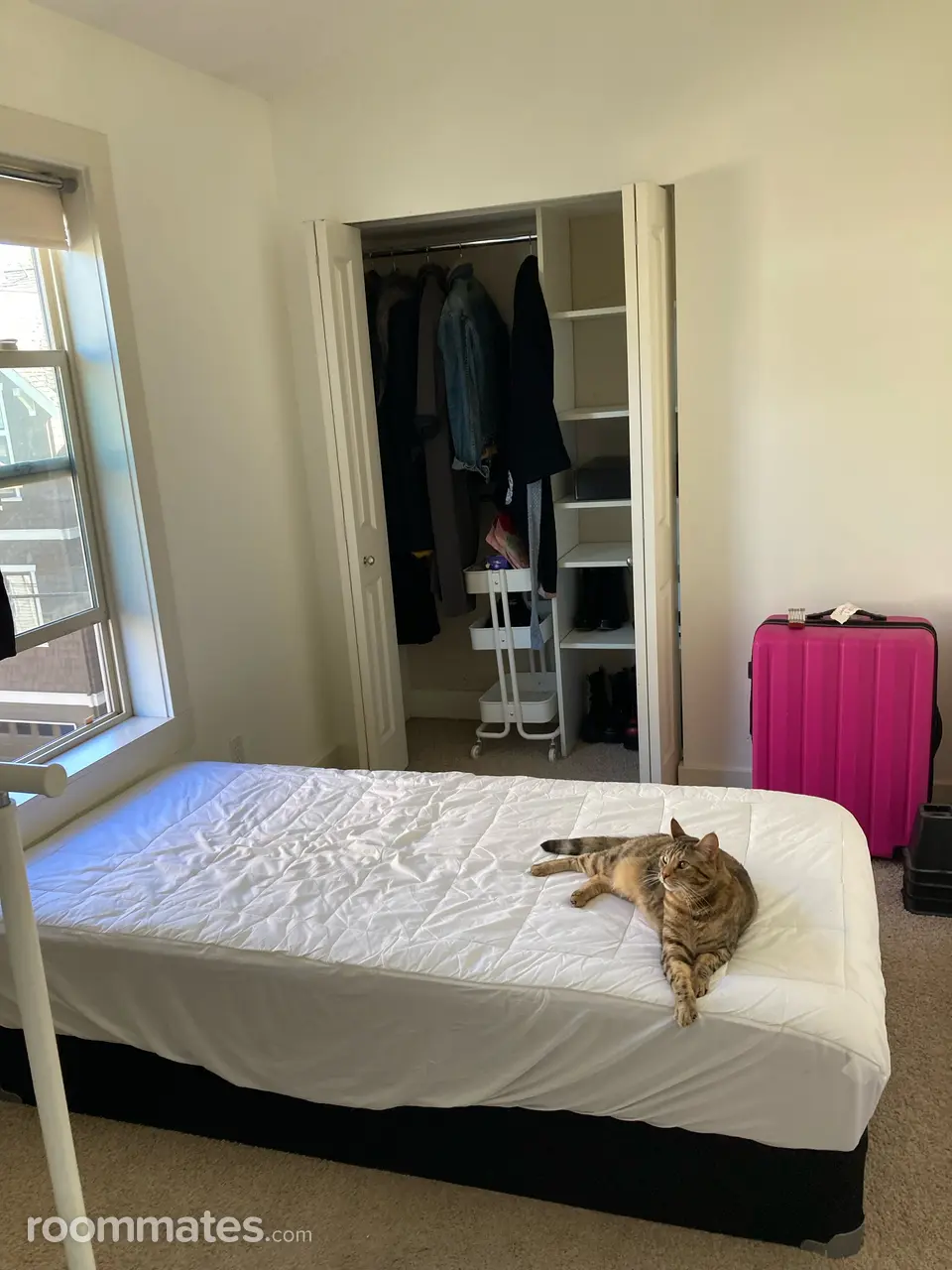 Profile photo 4 of 11