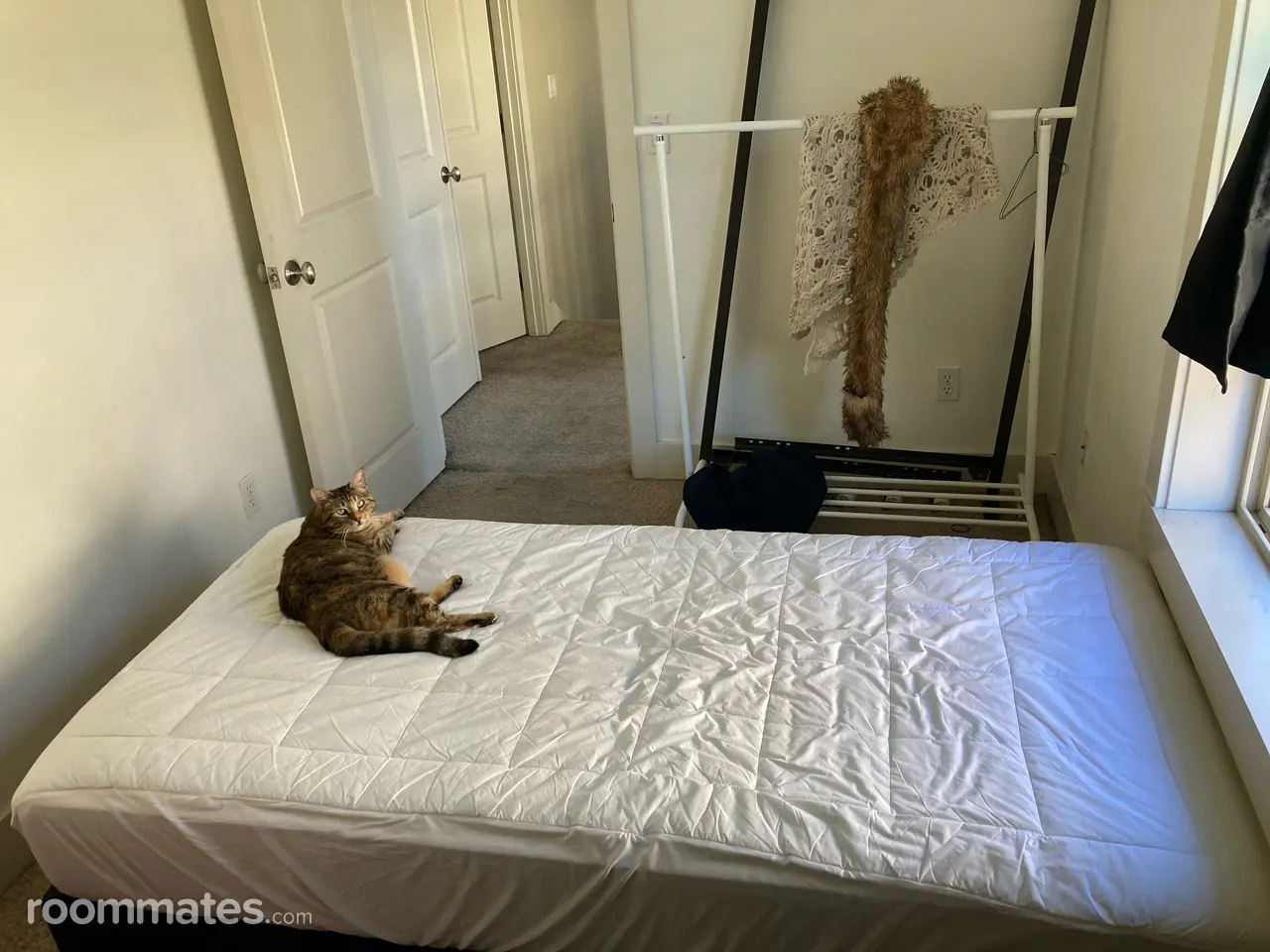 Profile photo 3 of 11