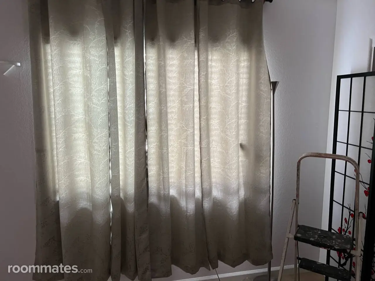 Profile photo 1 of 15