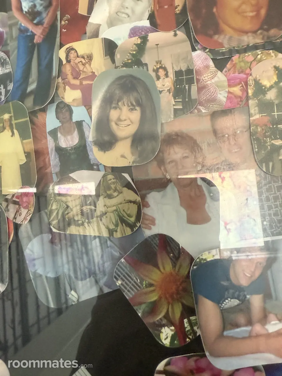 Profile photo 14 of 15