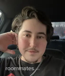 Roommate looking Raleigh, NC, $800