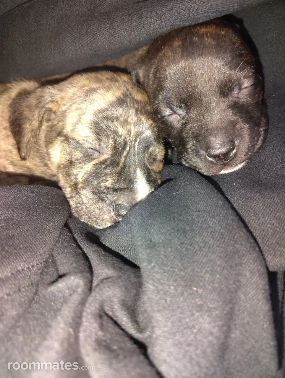 Profile photo 2 of 5