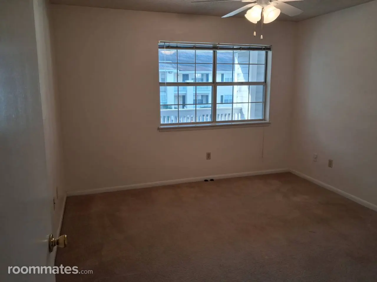 Profile photo 6 of 19