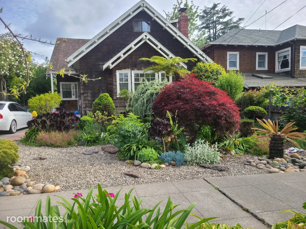 Profile photo 1 of 11