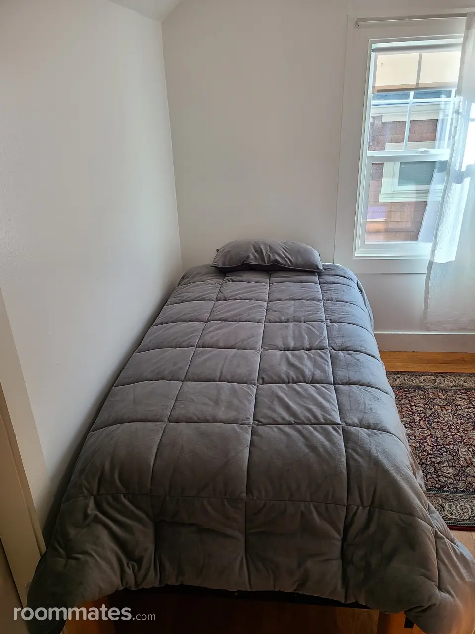 Profile photo 5 of 11