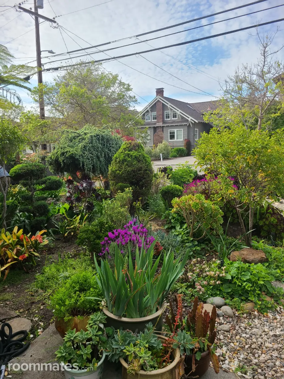 Profile photo 2 of 11