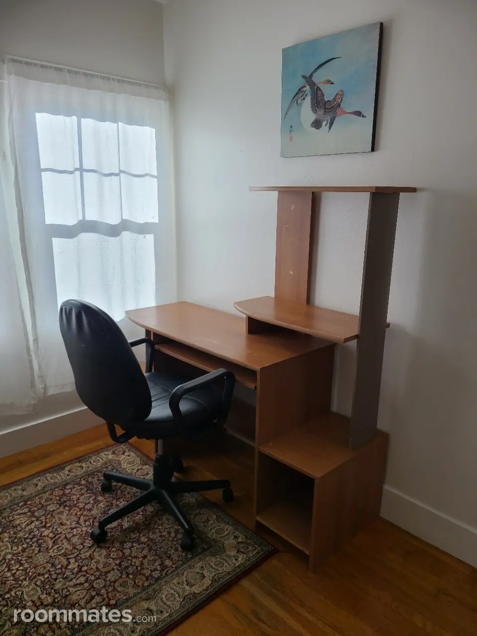 Profile photo 3 of 11