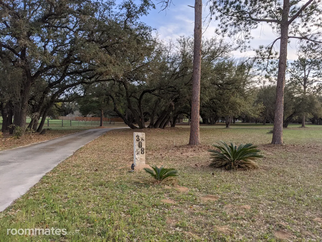 Profile photo 8 of 10