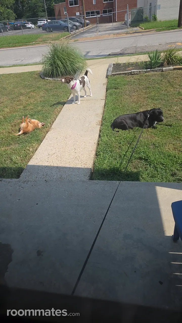 Profile photo 5 of 6