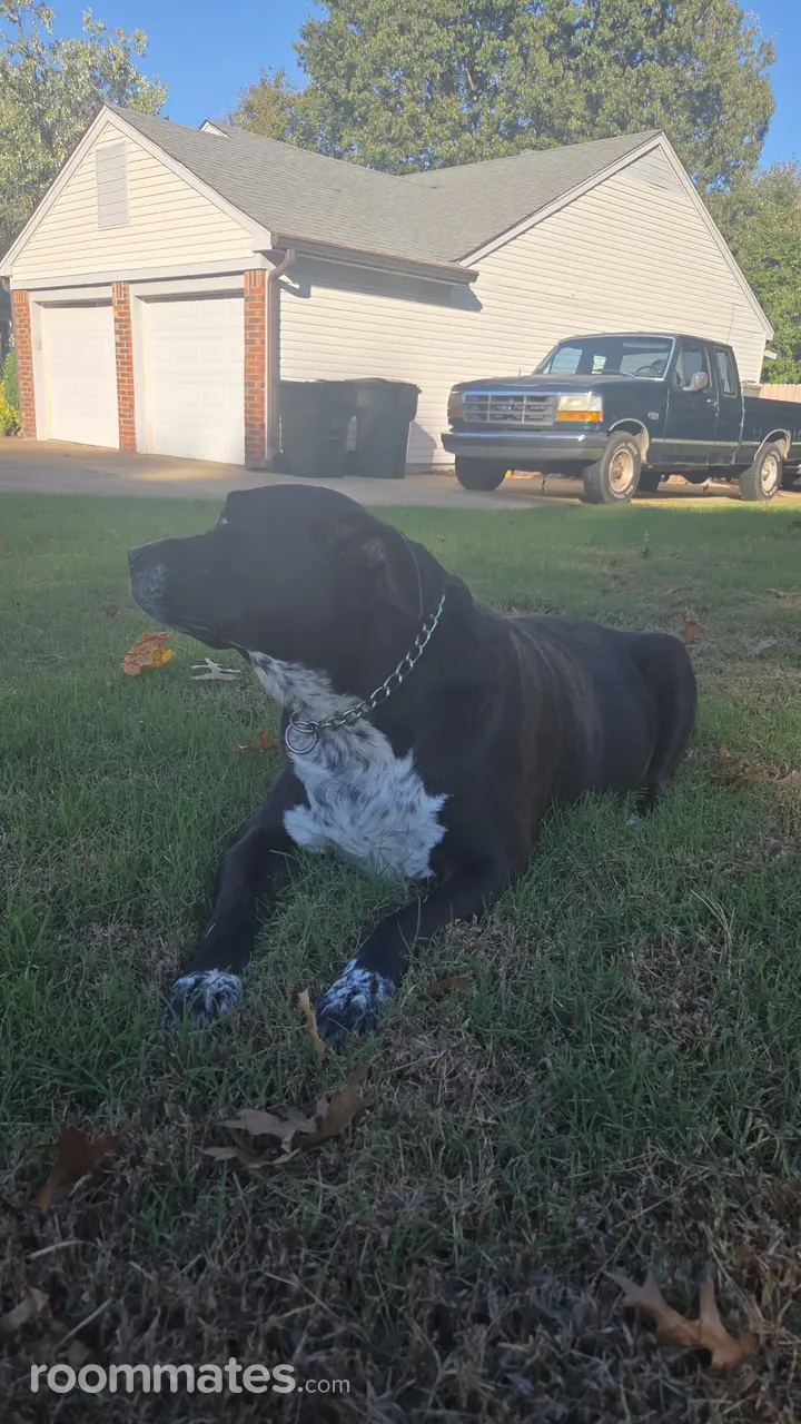 Profile photo 4 of 6