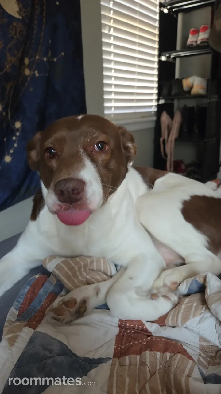 Profile photo 3 of 6